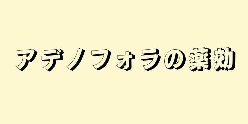 アデノフォラの薬効