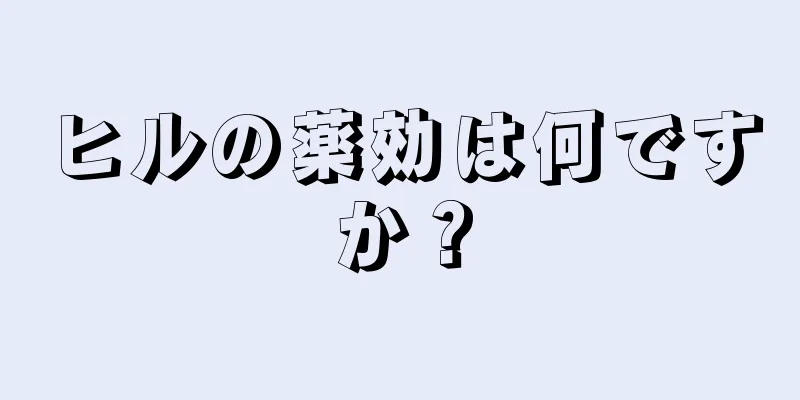 ヒルの薬効は何ですか？