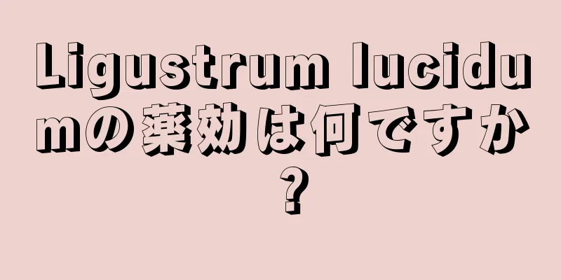 Ligustrum lucidumの薬効は何ですか？