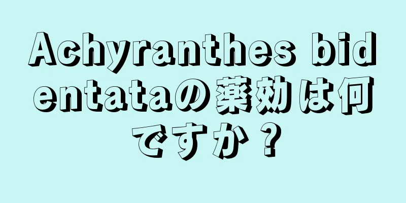 Achyranthes bidentataの薬効は何ですか？