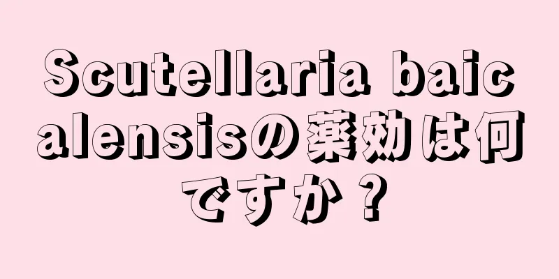 Scutellaria baicalensisの薬効は何ですか？