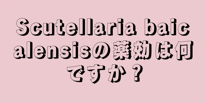 Scutellaria baicalensisの薬効は何ですか？