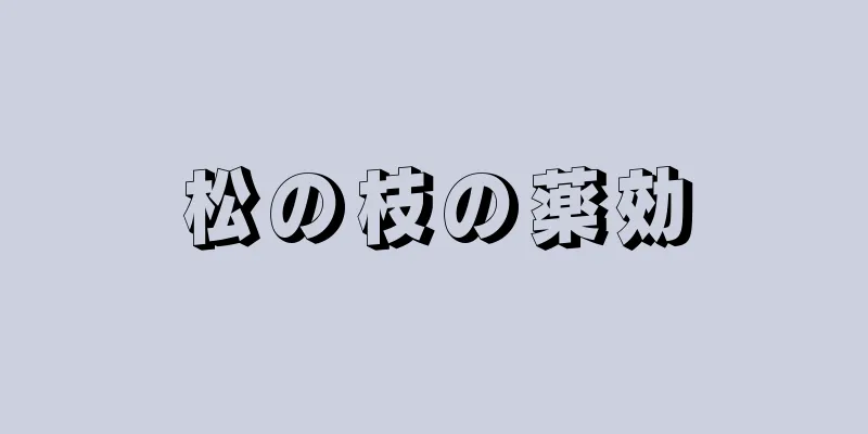 松の枝の薬効