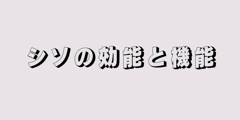 シソの効能と機能