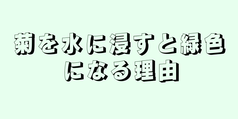菊を水に浸すと緑色になる理由