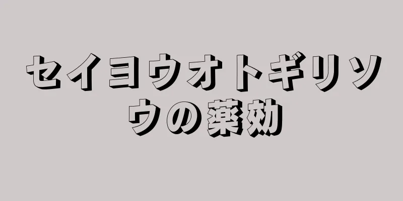 セイヨウオトギリソウの薬効