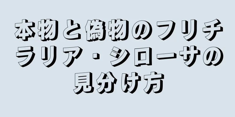 本物と偽物のフリチラリア・シローサの見分け方