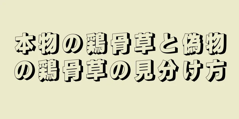 本物の鶏骨草と偽物の鶏骨草の見分け方