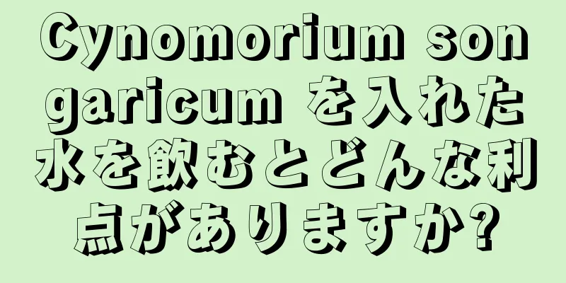 Cynomorium songaricum を入れた水を飲むとどんな利点がありますか?