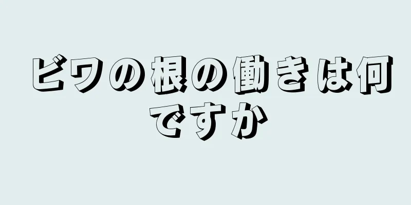 ビワの根の働きは何ですか