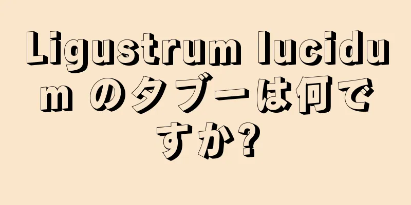 Ligustrum lucidum のタブーは何ですか?