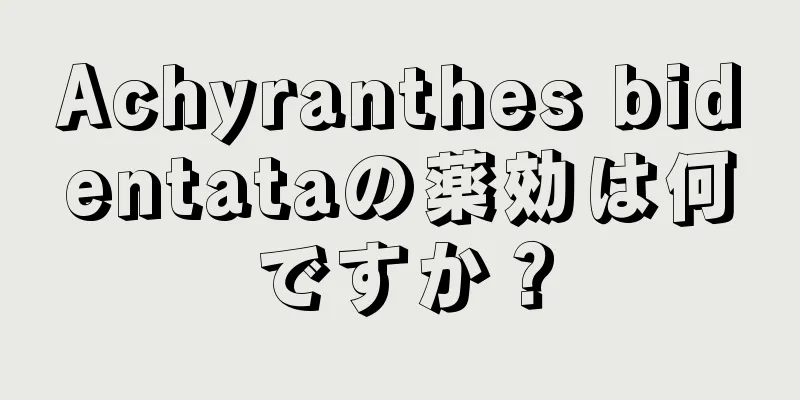 Achyranthes bidentataの薬効は何ですか？