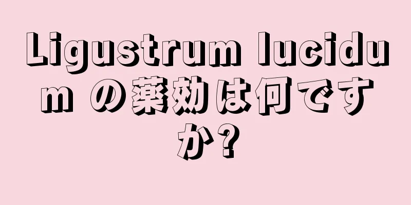Ligustrum lucidum の薬効は何ですか?