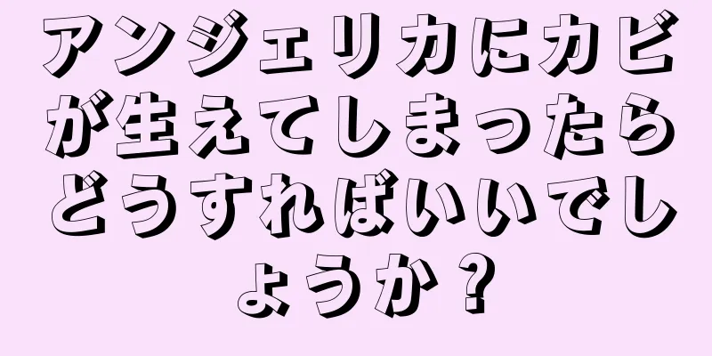 アンジェリカにカビが生えてしまったらどうすればいいでしょうか？