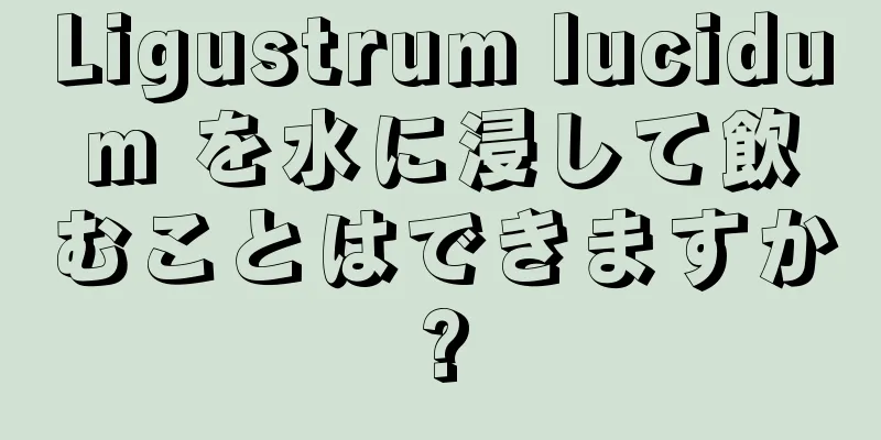 Ligustrum lucidum を水に浸して飲むことはできますか?