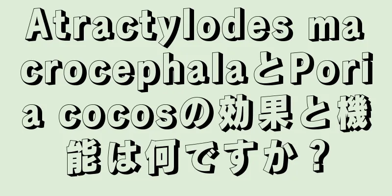 Atractylodes macrocephalaとPoria cocosの効果と機能は何ですか？
