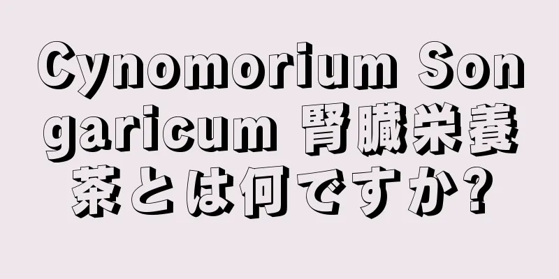 Cynomorium Songaricum 腎臓栄養茶とは何ですか?