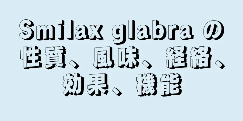 Smilax glabra の性質、風味、経絡、効果、機能