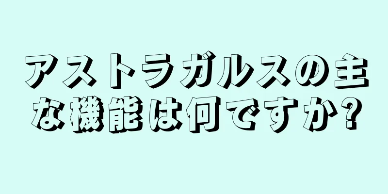 アストラガルスの主な機能は何ですか?