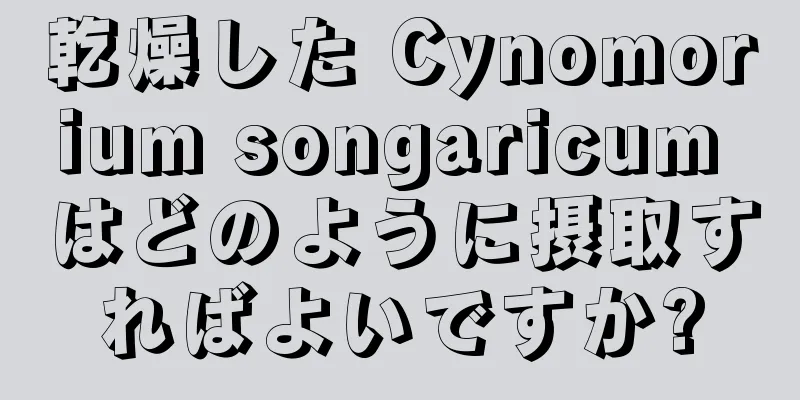 乾燥した Cynomorium songaricum はどのように摂取すればよいですか?