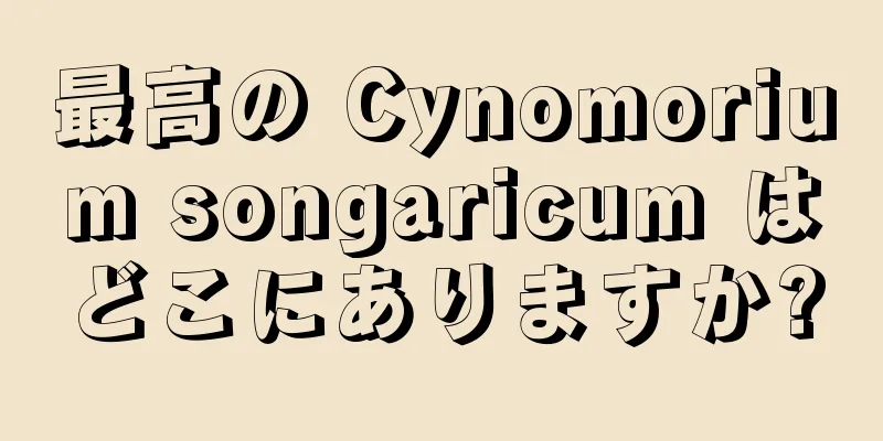 最高の Cynomorium songaricum はどこにありますか?