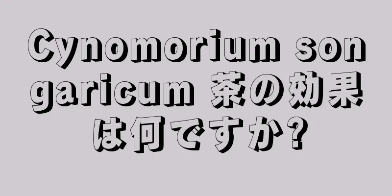 Cynomorium songaricum 茶の効果は何ですか?