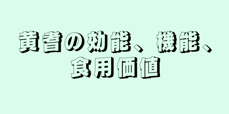 黄耆の効能、機能、食用価値