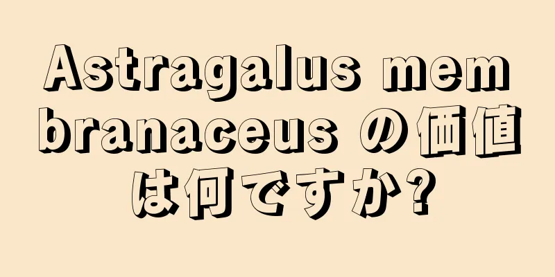 Astragalus membranaceus の価値は何ですか?
