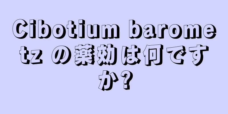 Cibotium barometz の薬効は何ですか?