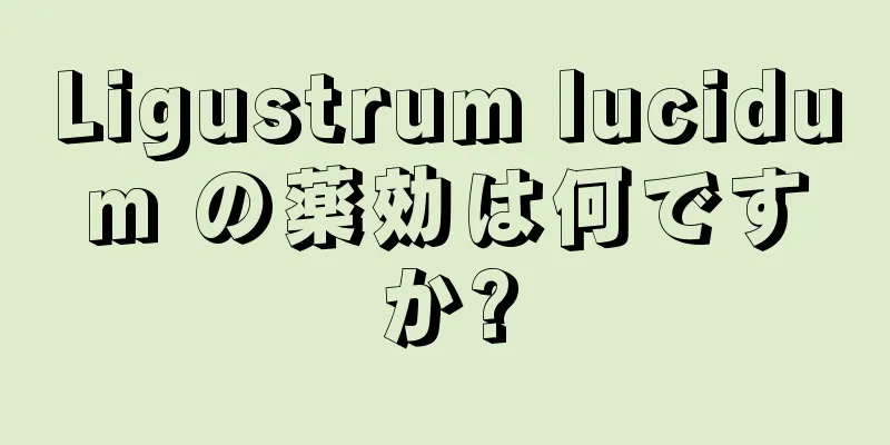 Ligustrum lucidum の薬効は何ですか?