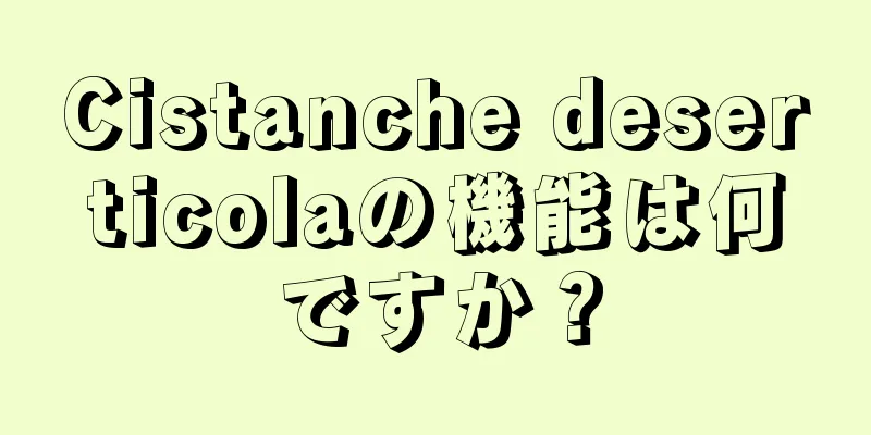 Cistanche deserticolaの機能は何ですか？