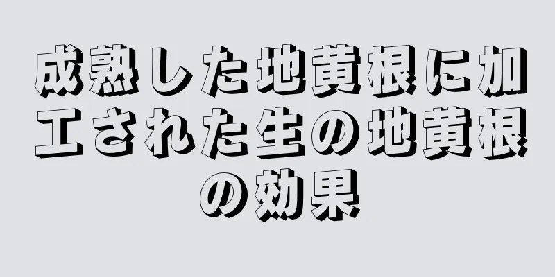 成熟した地黄根に加工された生の地黄根の効果