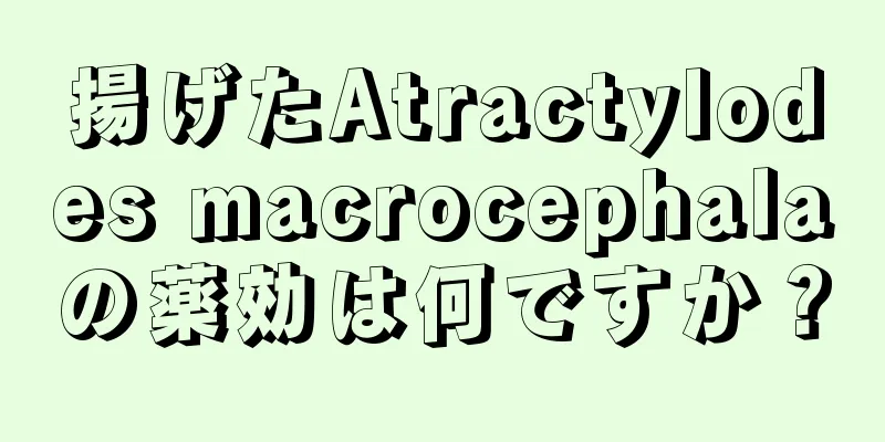 揚げたAtractylodes macrocephalaの薬効は何ですか？