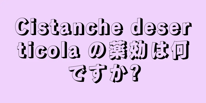 Cistanche deserticola の薬効は何ですか?