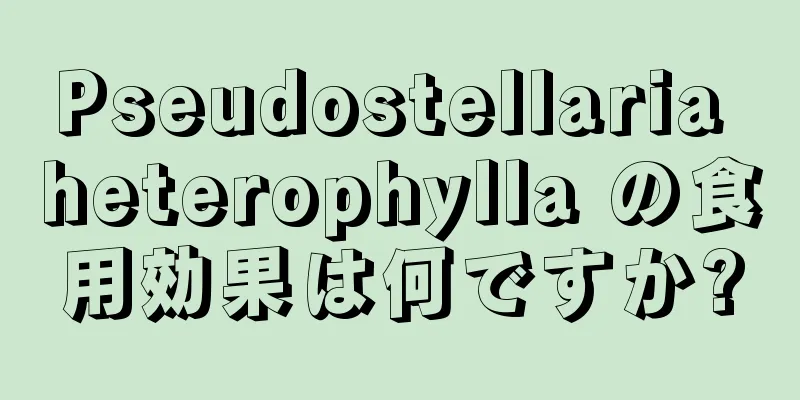 Pseudostellaria heterophylla の食用効果は何ですか?
