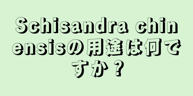 Schisandra chinensisの用途は何ですか？