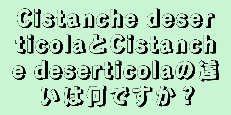 Cistanche deserticolaとCistanche deserticolaの違いは何ですか？