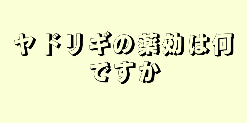 ヤドリギの薬効は何ですか