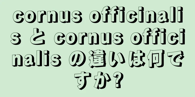 cornus officinalis と cornus officinalis の違いは何ですか?