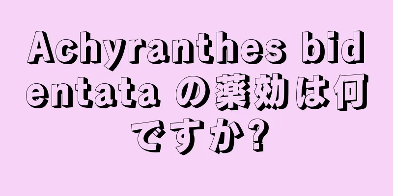 Achyranthes bidentata の薬効は何ですか?
