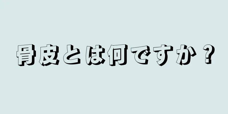 骨皮とは何ですか？