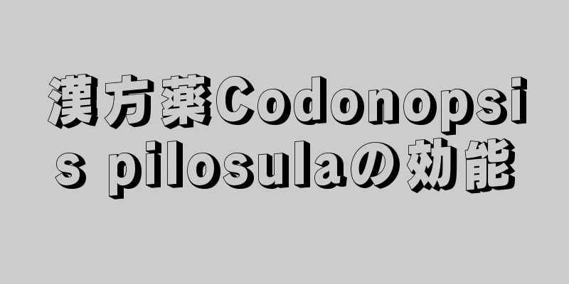 漢方薬Codonopsis pilosulaの効能