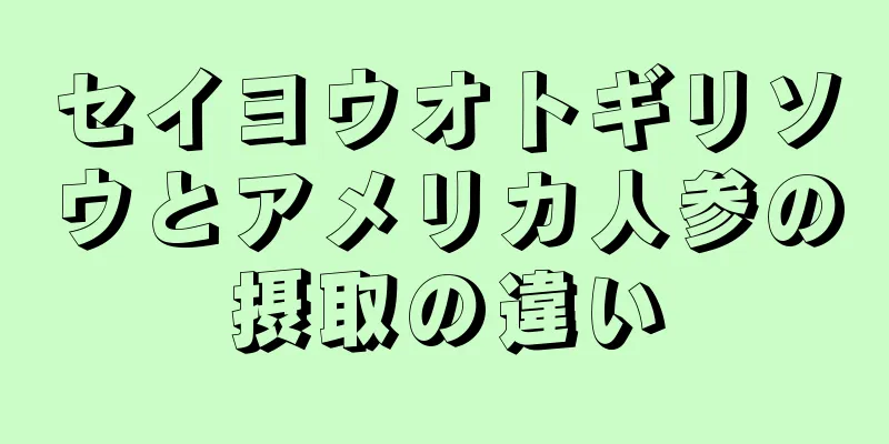 セイヨウオトギリソウとアメリカ人参の摂取の違い