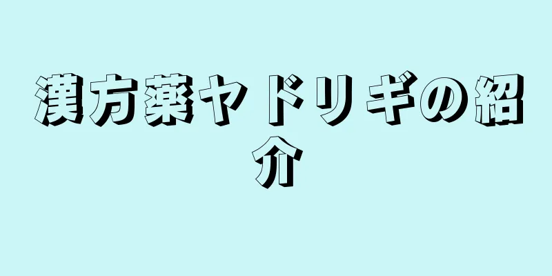 漢方薬ヤドリギの紹介