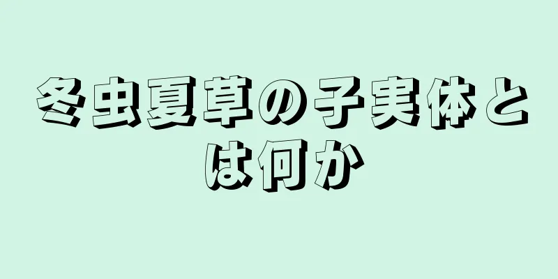 冬虫夏草の子実体とは何か