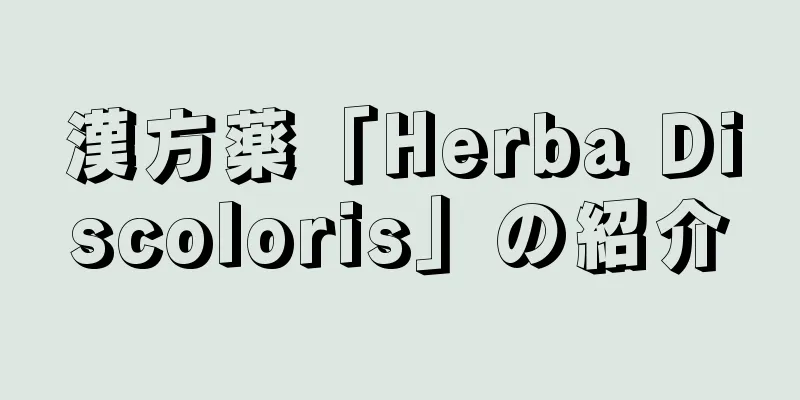 漢方薬「Herba Discoloris」の紹介