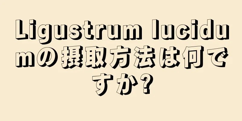 Ligustrum lucidumの摂取方法は何ですか?