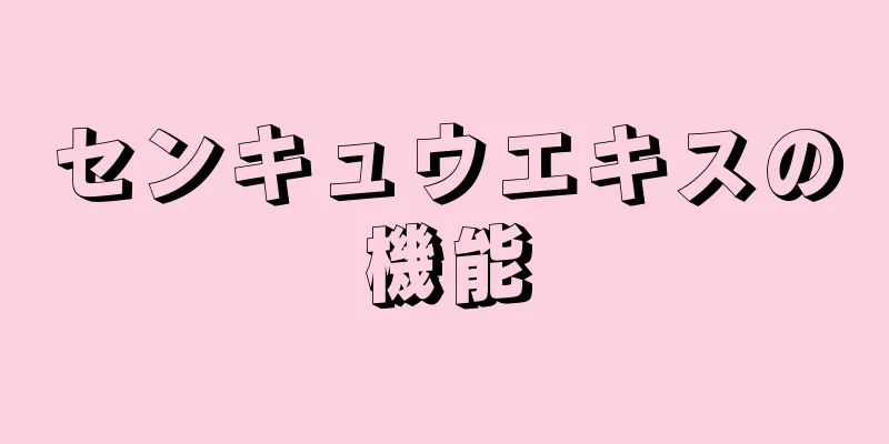 センキュウエキスの機能