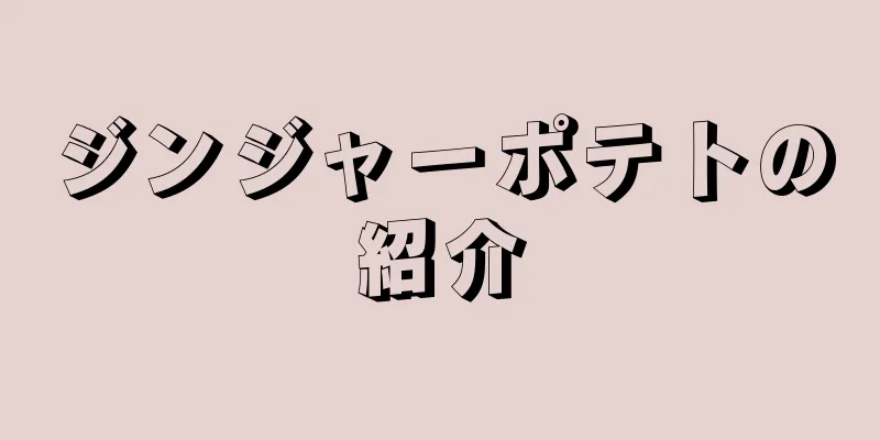 ジンジャーポテトの紹介