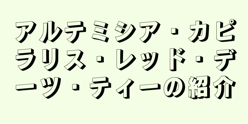 アルテミシア・カピラリス・レッド・デーツ・ティーの紹介
